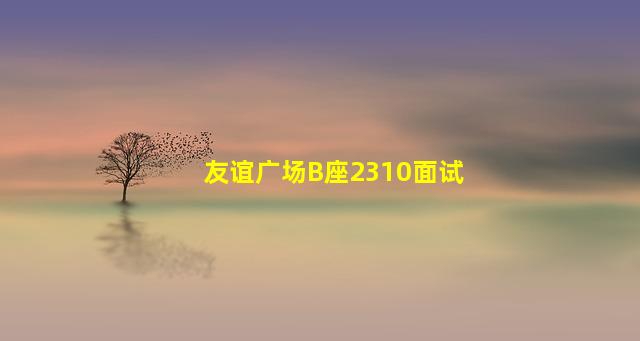 友谊广场B座2310面试