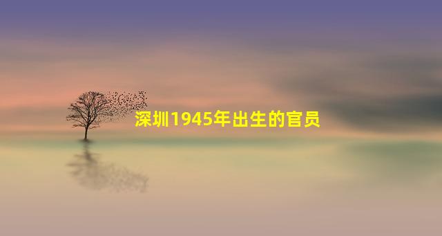 深圳1945年出生的官员