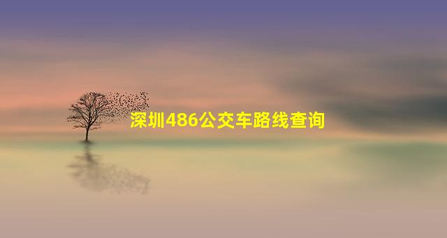 深圳486公交车路线查询