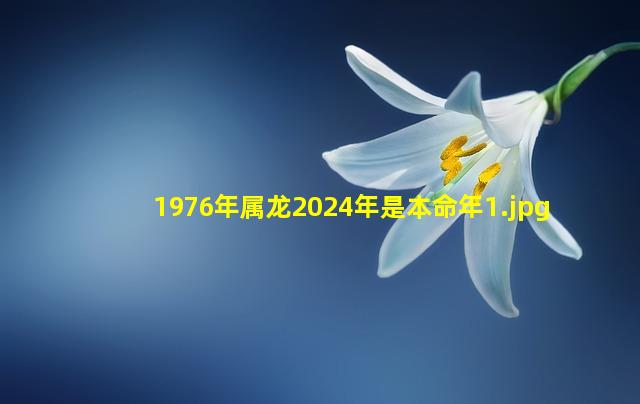 1976年属龙2024年是本命年_1