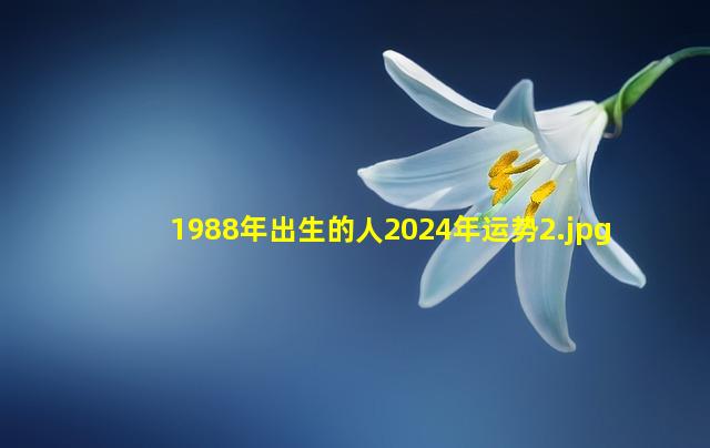 1988年出生的人2024年运势_2